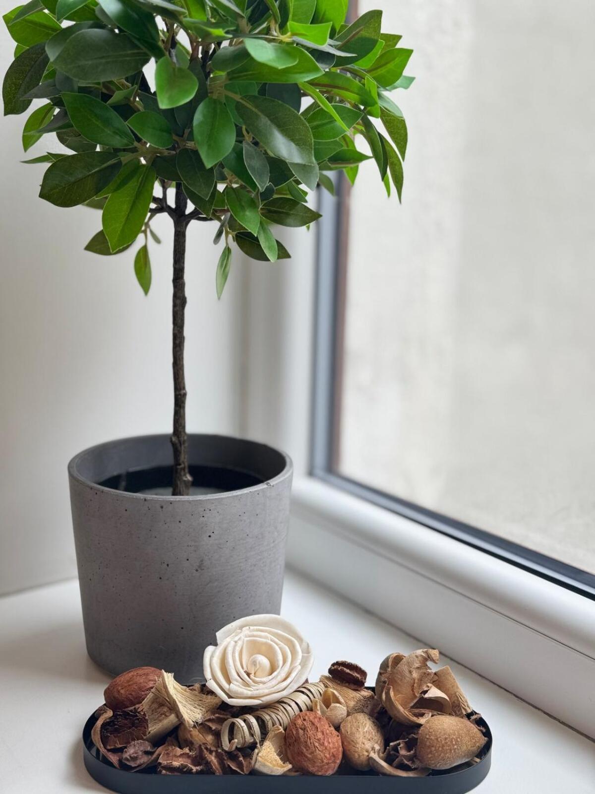 Courtyard Kalnina Apartment Riga Ngoại thất bức ảnh